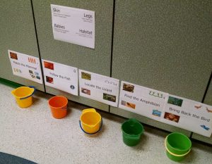 IMG_20151107_140636997