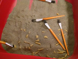 IMG_20160116_104813936