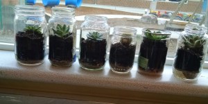 IMG_20160130_110807540