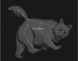 ursa