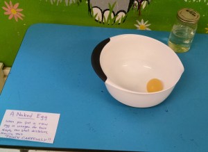 IMG_20160319_102044489