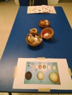 IMG_20160319_102133123