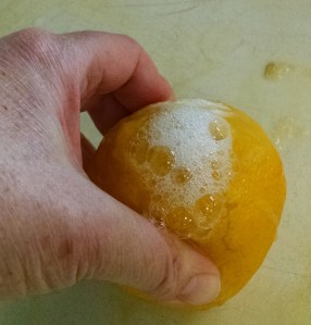 IMG_20160409_141756594