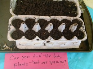 IMG_20160507_104312315