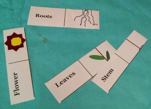 IMG_20160507_104410860