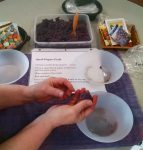 IMG_20160507_134655393