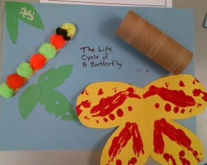 IMG_20160514_132736688