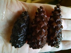 IMG_20160602_121044876