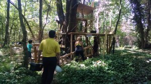 img_20160818_135419661