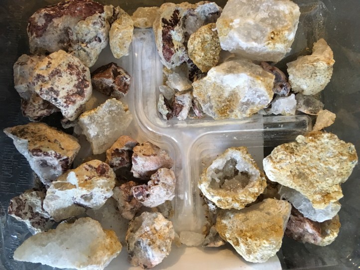 20190309_001157093_iOS