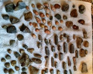 img_20170115_135321992_hdr