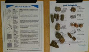 img_20170121_111427346