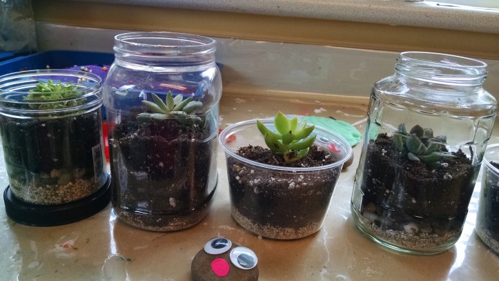 img_20170128_113610600