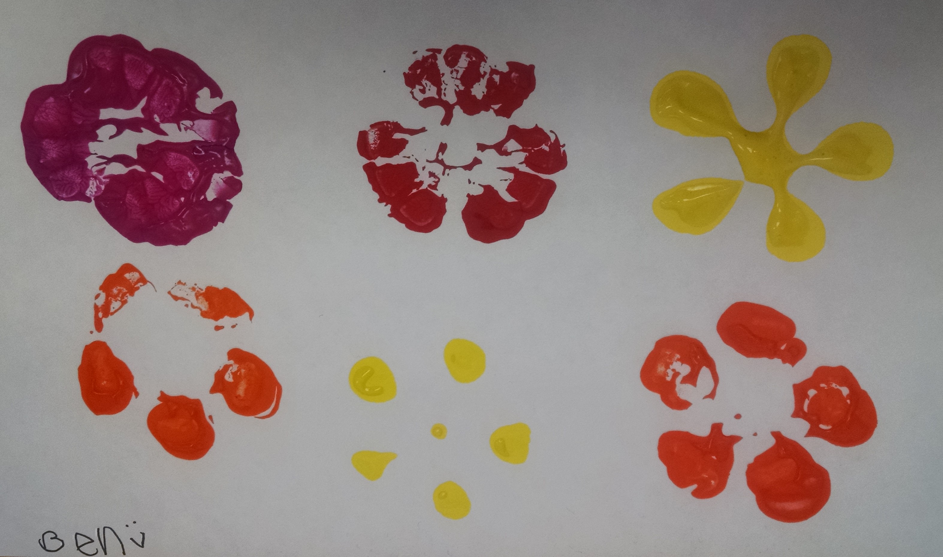 IMG_20170501_104945246