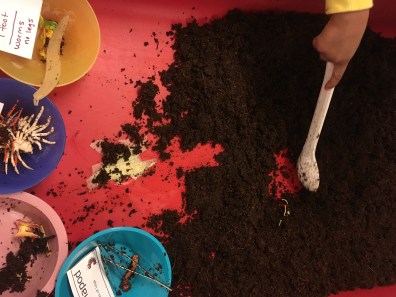 20180421_180114297_iOS