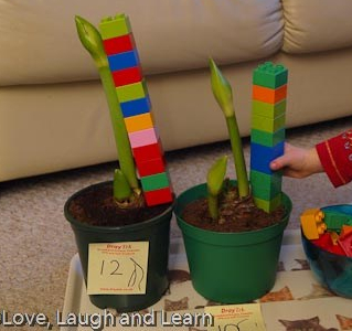 LoveLaughandLearn_20130104-3046856