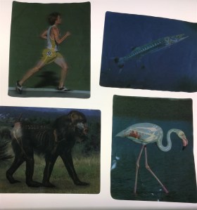 20190809_223306701_iOS